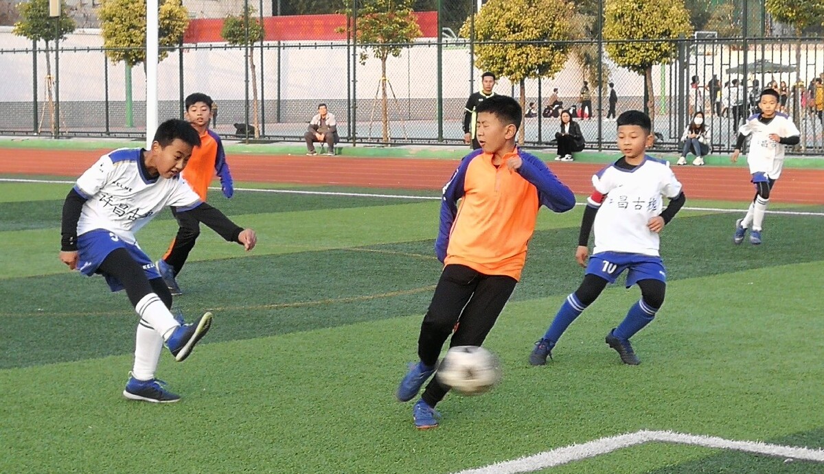 力已经开始 力已经开始